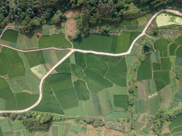 Free Stock Photo of Aerial view of fields and roads creating a cross ...