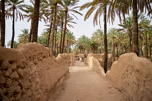 Sendero patrimonial Al-Ula en oasis desértico, Arabia Saudita photo
