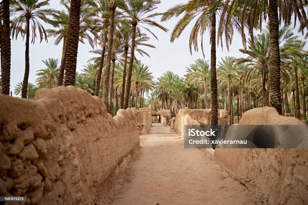 Al-Ula heritage trail in desert oasis, Saudi Arabia View with diminishing perspective of dirt path with ancient mudbrick walls running through date palm grove. Saudi Arabia Stock Photo