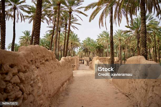 Alula Heritage Trail In Desert Oasis Saudi Arabia Stock Photo - Download Image Now