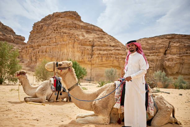 istock Saudi camel driver with two dromedaries for tourist treks 1401473310