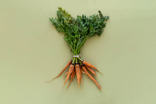 Food from above top view Eco-friendly farm products organic vegetables in mesh bags Flat lay fresh Salad beets carrots tomat cucumbers peppers lettuce