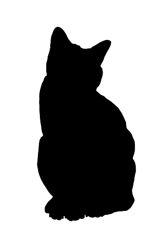 Close-up of black cat silhouette on white background.