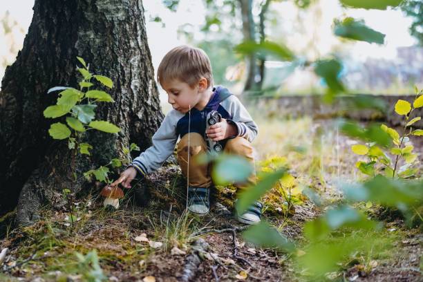 happy little boy found an edible boletus mushroom under the tree - children only tree area exploration freshness imagens e fotografias de stock