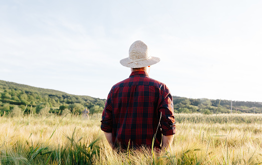 Color image depicting the rear view of a farmer standing in a wheat field surveying his crops. He is wearing a straw hat and red and navy blue check shirt.