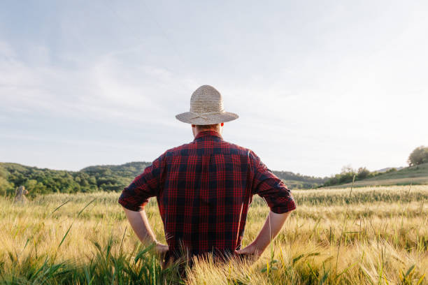 istock Rear view of farmer standing in wheat field 1401478234