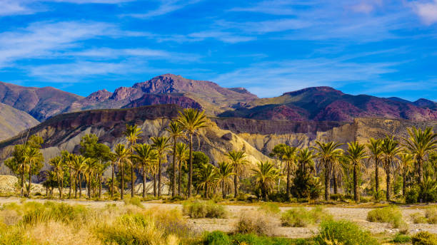 istock Sierra Alhamilla landscape, Spain. 1401478793