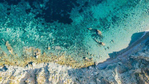 istock Aerial view of turquoise water's edge 1401478837