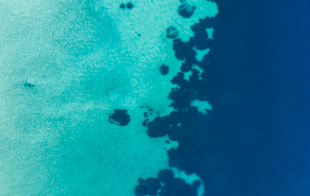 istock Aerial view of turquoise water's edge 1401478882