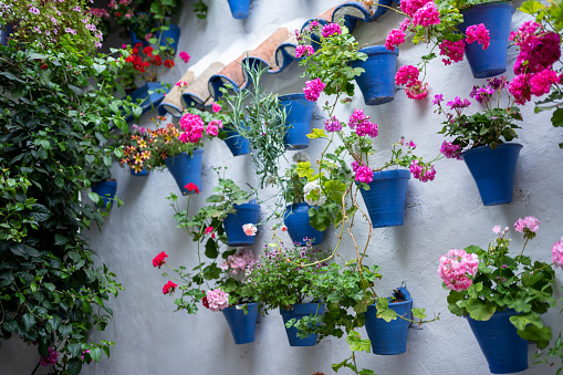 Flowers in flowerpots on the walls of the streets of Cordoba, Spain 2022