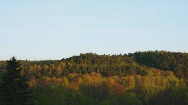 istock Sunny Cloudy Day Time Lapse Landscape of Forest Hills 1401481044