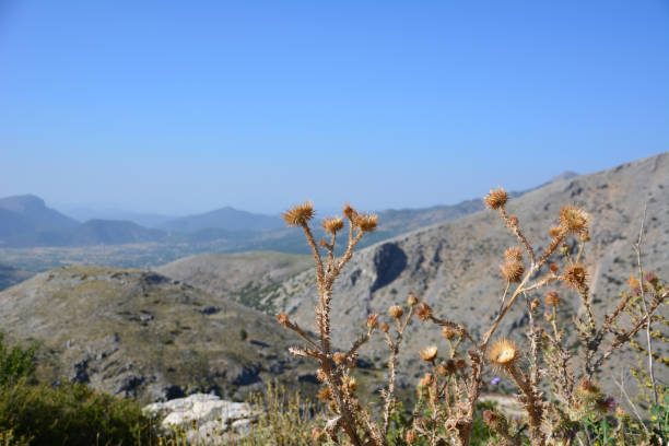 istock turkish mountains in sunny day on clear blue sky background 1401481856
