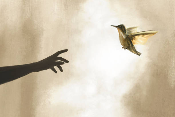 surreal encounter between a person and a bird vector art illustration