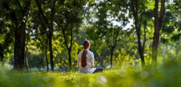 istock Woman relaxingly practicing meditation in the forest to attain happiness from inner peace wisdom with beam of sun light for healthy mind and soul concept 1401484441