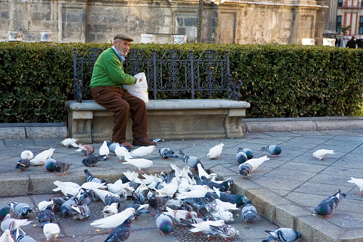 Man feeding pigeons, Plaza del Triunfo, Sevilla: in the centre of the tourist-oriented old city, but with no tourists about on this Winter's day