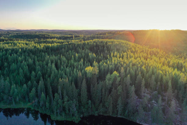 Photo of Finland lake nature beautiful sunset aerial view