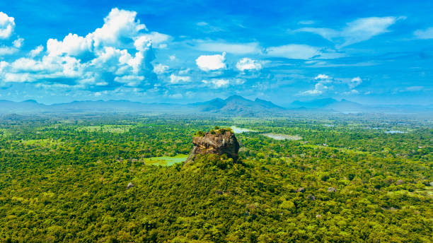istock Aerial drone view of Sigirya Rock 1401494318