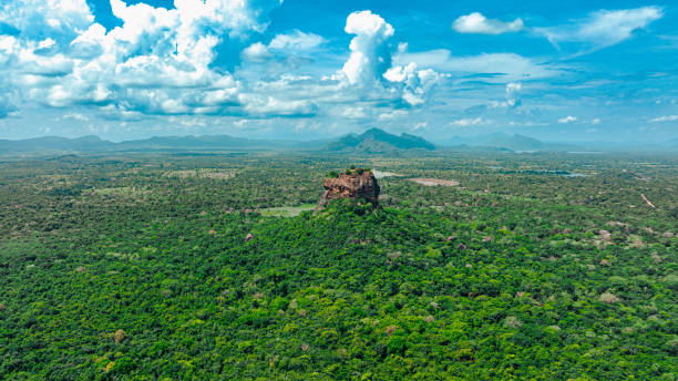 istock Aerial drone view of Sigirya Rock 1401495094