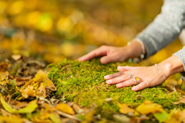 istock Female hands touching the ground, connecting to earth, grounding concept 1401497031