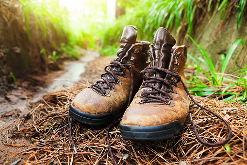 Scuffed, comfortable leather hiking boots in a natural wooded setting.