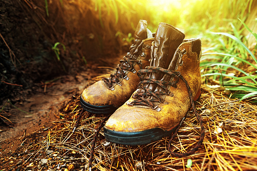 Scuffed, comfortable leather hiking boots in a natural wooded setting.