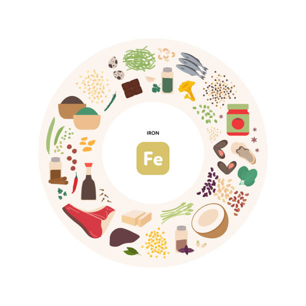 Healthy food guide concept. Vector flat illustration. Infographic of iron fe vitamin sources. Circle frame chart. Colorful meat, fish, seafood, grain, seeds and nuts icon set. vector art illustration
