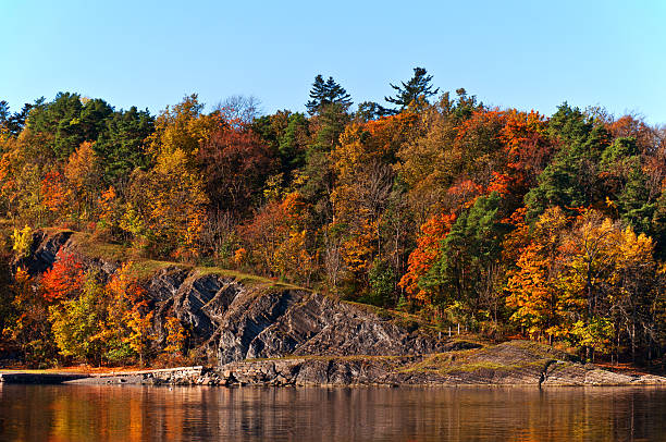 istock Autumn Forest near the North Sea 140150102