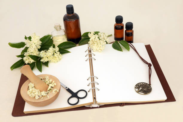istock Naturopathic Elderflower Herb Used in Alternative Medicine 1401501886