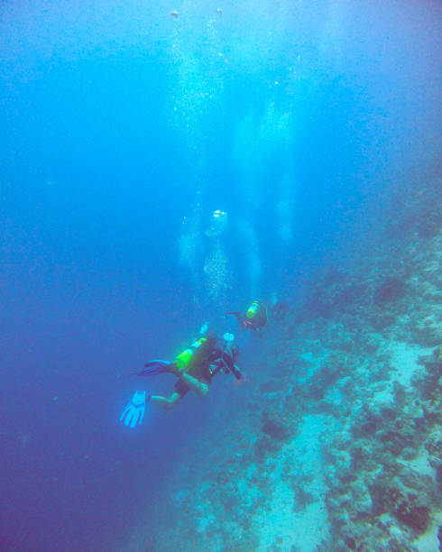 istock Diving in the Red Sea 1401501953