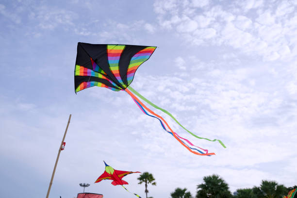 Kites at the beach. Summer time. Travel and vacation scene.
