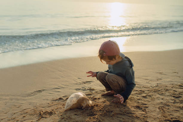 istock Little boy found jellyfish on the beach 1401504146