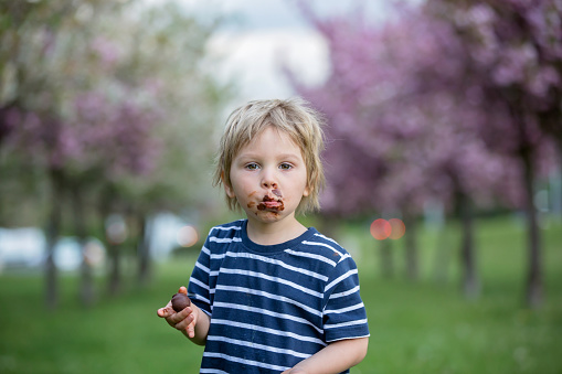 Child, toddler boy, eating chocolate bonbon in the park