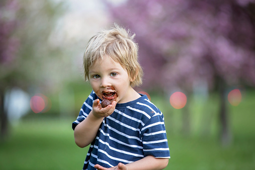 Child, toddler boy, eating chocolate bonbon in the park