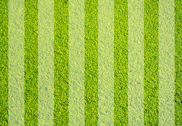 Lawn with stripes background football