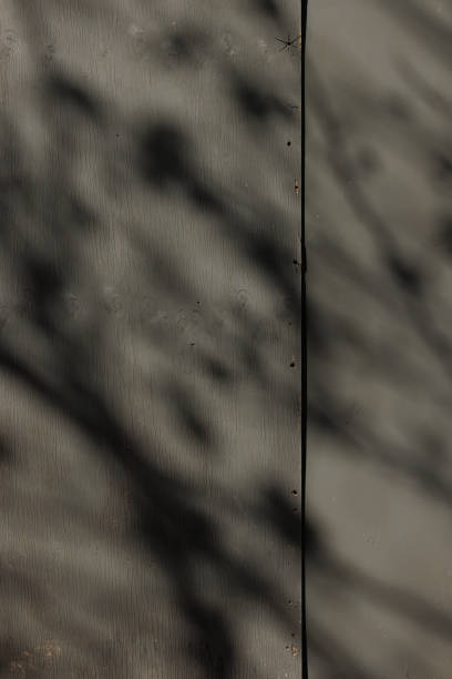 istock Part of a wooden wall with shadows. 1401509752