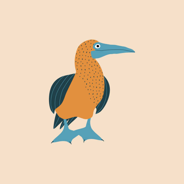 Blue-footed booby hand drawn vector illustration. Isolated cute colorful bird in flat style for kids logo or icon.