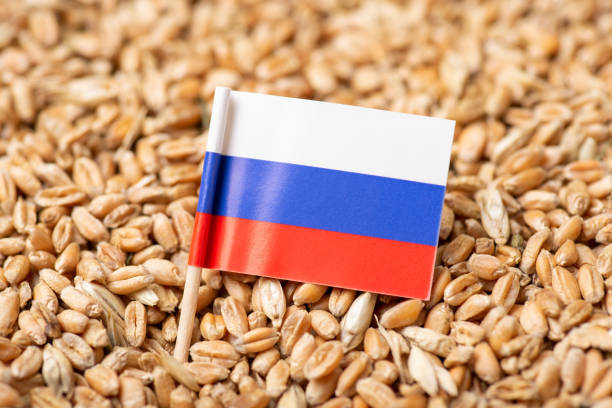 istock Flag of Russia on wheat grain 1401512424
