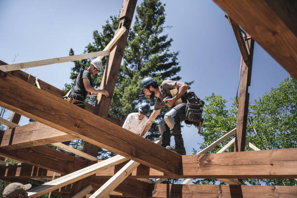 Men building and eco house
