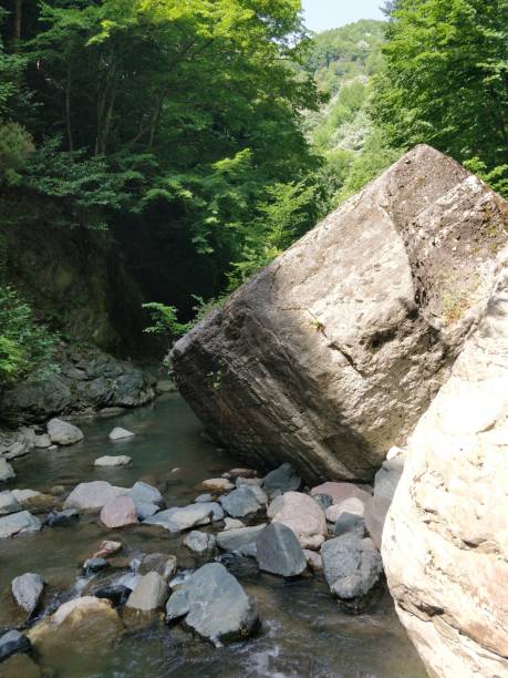 istock forest creek in Dogancay Sakarya 1401515642