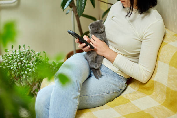 istock Woman with scottish kitten on the sofa with phone, chatting using smartphone 1401515982