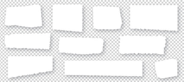 ilustrações de stock, clip art, desenhos animados e ícones de set of elongated torn paper fragments isolated on white background - papercut