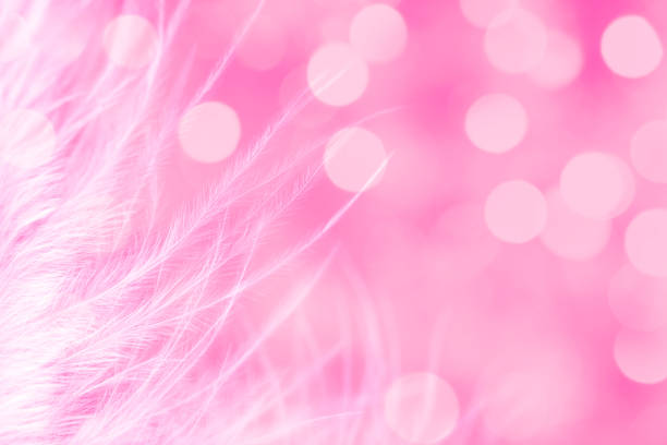 Extreme close-up of a white feather on a pink defocused lights background with beautiful bokeh. Space for copy.