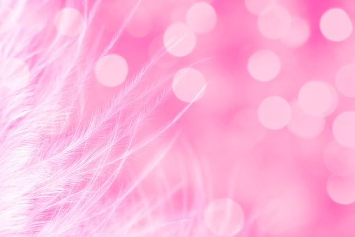 Extreme close-up of a white feather on a pink defocused lights background with beautiful bokeh. Space for copy.