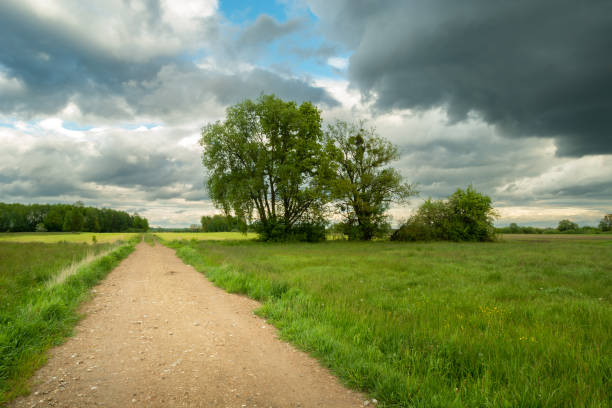 istock View from the path to green meadows with trees 1401520854
