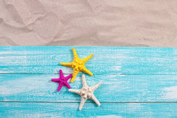 istock Sand copy space. Sand background top view. starfish on wooden background 1401521093