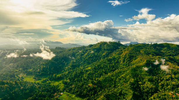 istock Aerial drone view of Ella, Sri Lanka 1401522334