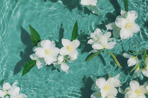 White jasmine flowers in transparent water. Summer floral composition with sun and shadows. Nature concept. Top view. Selective focus