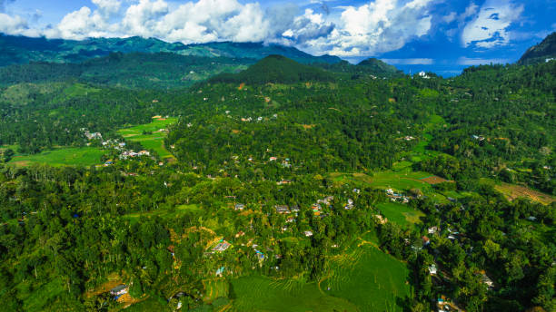 istock Aerial drone view of Ella, Sri Lanka 1401522830