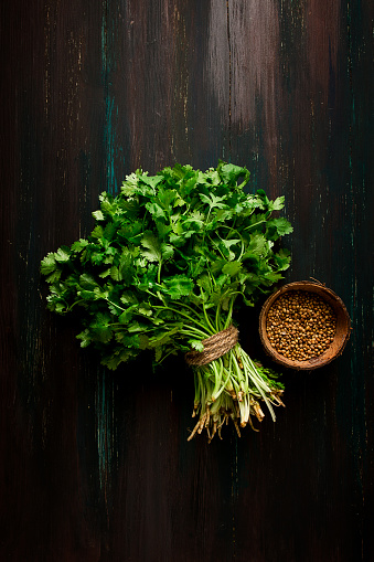 variaty of cooking herbs in pots