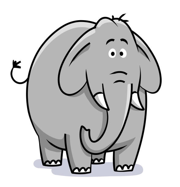 Cute Elephant Vector illustration of a cute elephant looking at the camera, isolated on white. tusk stock illustrations